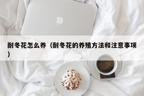 耐冬花怎么养（耐冬花的养殖方法和注意事项）
