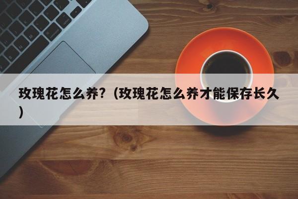 玫瑰花怎么养?（玫瑰花怎么养才能保存长久）