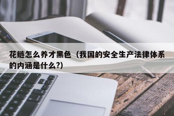 花鲢怎么养才黑色（我国的安全生产法律体系的内涵是什么?）