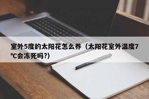 室外5度的太阳花怎么养（太阳花室外温度7℃会冻死吗?）