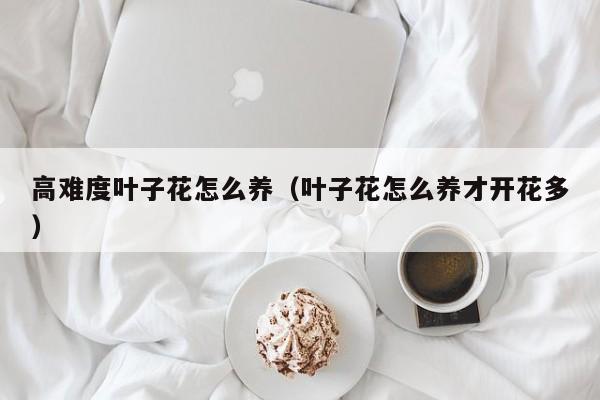 高难度叶子花怎么养（叶子花怎么养才开花多）