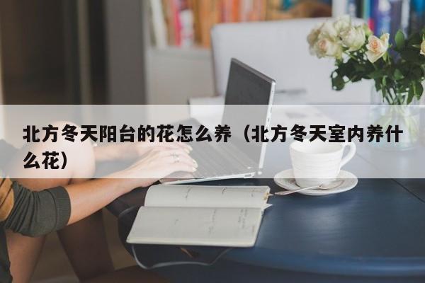 北方冬天阳台的花怎么养（北方冬天室内养什么花）