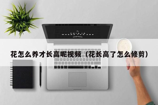 花怎么养才长高呢视频（花长高了怎么修剪）