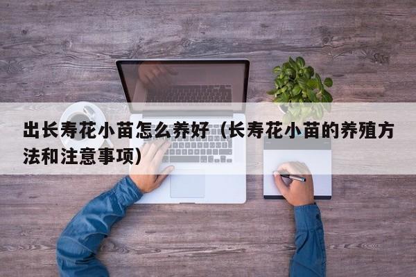 出长寿花小苗怎么养好（长寿花小苗的养殖方法和注意事项）