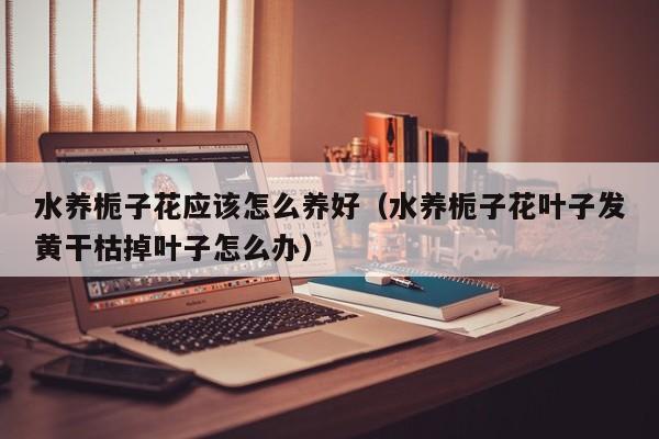 水养栀子花应该怎么养好（水养栀子花叶子发黄干枯掉叶子怎么办）