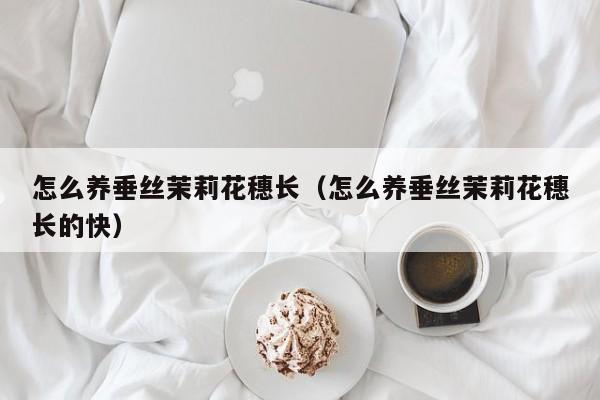 怎么养垂丝茉莉花穗长（怎么养垂丝茉莉花穗长的快）