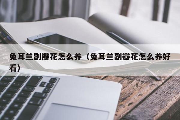 兔耳兰副瓣花怎么养（兔耳兰副瓣花怎么养好看）