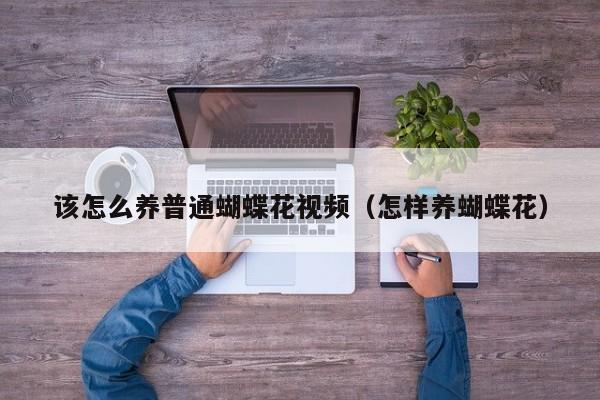 该怎么养普通蝴蝶花视频（怎样养蝴蝶花）