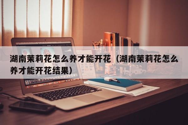 湖南茉莉花怎么养才能开花（湖南茉莉花怎么养才能开花结果）