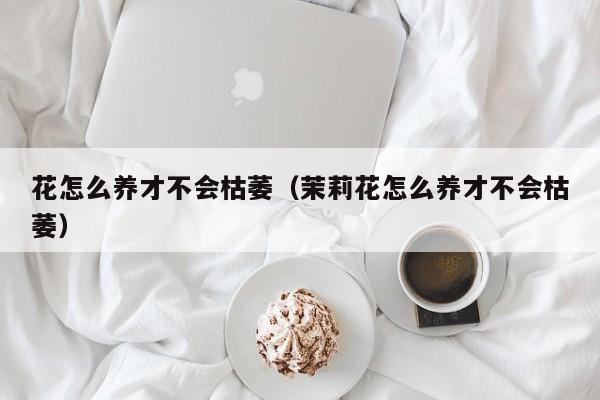 花怎么养才不会枯萎（茉莉花怎么养才不会枯萎）