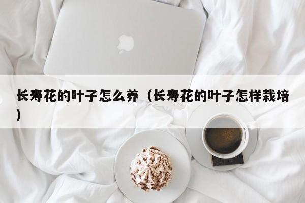 长寿花的叶子怎么养（长寿花的叶子怎样栽培）