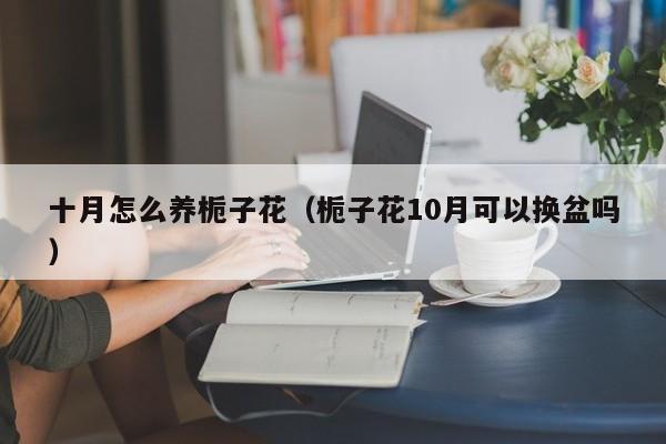 十月怎么养栀子花（栀子花10月可以换盆吗）
