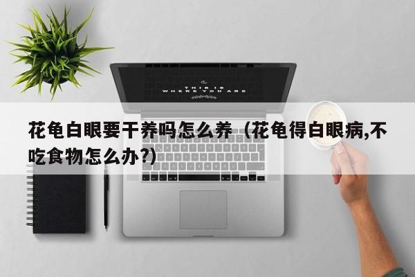 花龟白眼要干养吗怎么养（花龟得白眼病,不吃食物怎么办?）