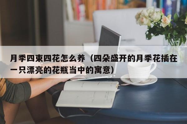 月季四束四花怎么养（四朵盛开的月季花插在一只漂亮的花瓶当中的寓意）