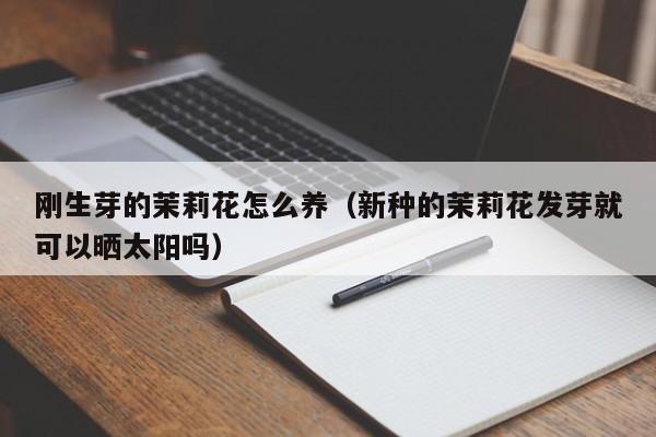 刚生芽的茉莉花怎么养（新种的茉莉花发芽就可以晒太阳吗）