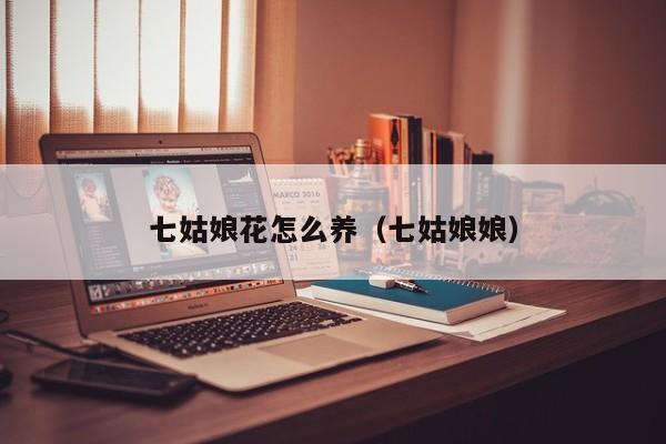 七姑娘花怎么养（七姑娘娘）