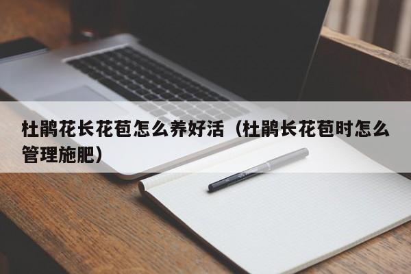 杜鹃花长花苞怎么养好活（杜鹃长花苞时怎么管理施肥）