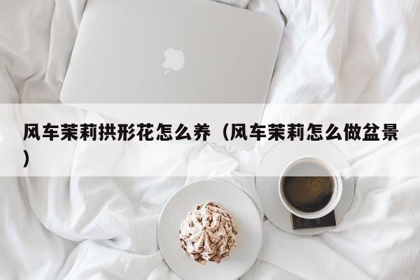 风车茉莉拱形花怎么养（风车茉莉怎么做盆景）