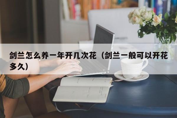 剑兰怎么养一年开几次花（剑兰一般可以开花多久）