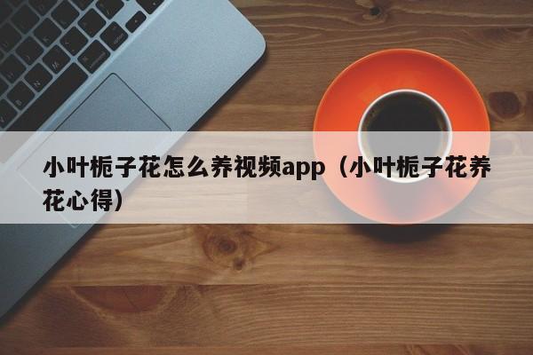 小叶栀子花怎么养视频app（小叶栀子花养花心得）