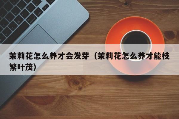 茉莉花怎么养才会发芽（茉莉花怎么养才能枝繁叶茂）