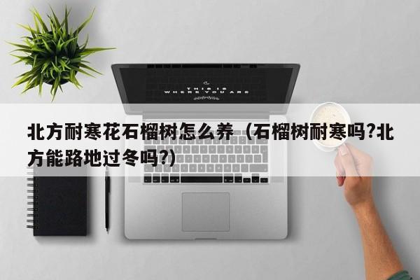 北方耐寒花石榴树怎么养（石榴树耐寒吗?北方能路地过冬吗?）