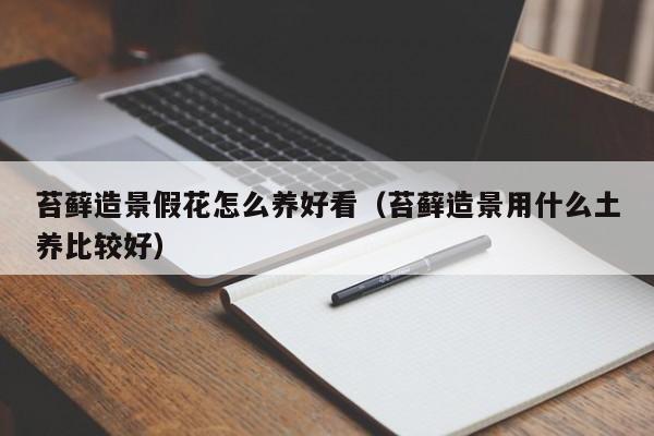 苔藓造景假花怎么养好看（苔藓造景用什么土养比较好）