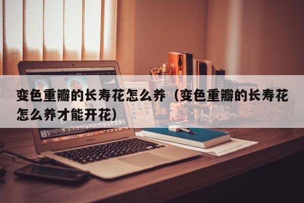 变色重瓣的长寿花怎么养（变色重瓣的长寿花怎么养才能开花）