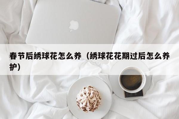 春节后绣球花怎么养（绣球花花期过后怎么养护）