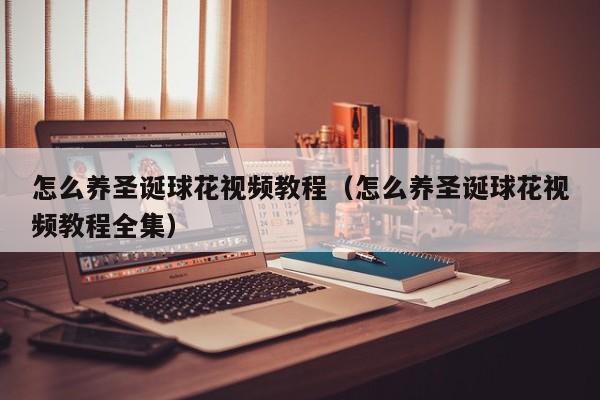 怎么养圣诞球花视频教程（怎么养圣诞球花视频教程全集）