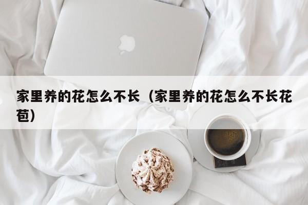 家里养的花怎么不长（家里养的花怎么不长花苞）
