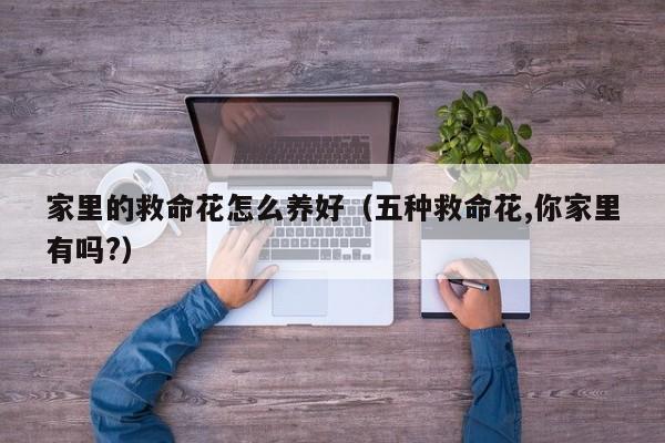 家里的救命花怎么养好（五种救命花,你家里有吗?）