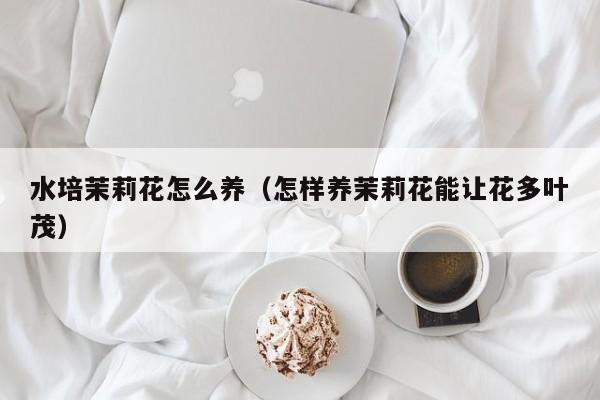 水培茉莉花怎么养（怎样养茉莉花能让花多叶茂）