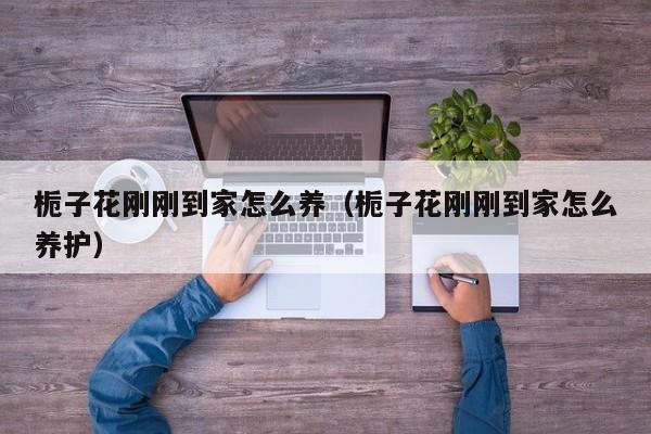栀子花刚刚到家怎么养（栀子花刚刚到家怎么养护）