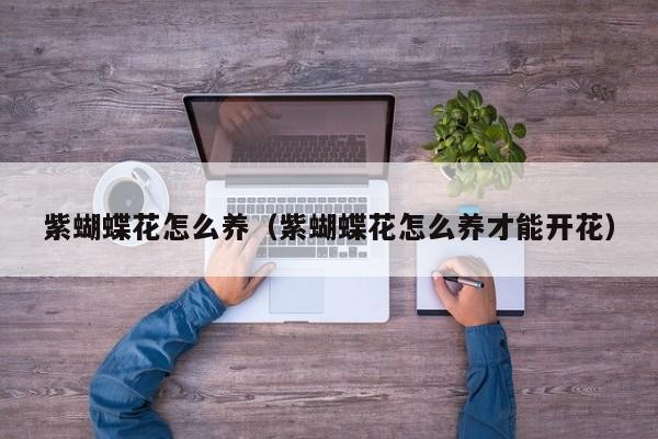紫蝴蝶花怎么养（紫蝴蝶花怎么养才能开花）