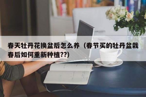 春天牡丹花换盆后怎么养（春节买的牡丹盆栽春后如何重新种植??）