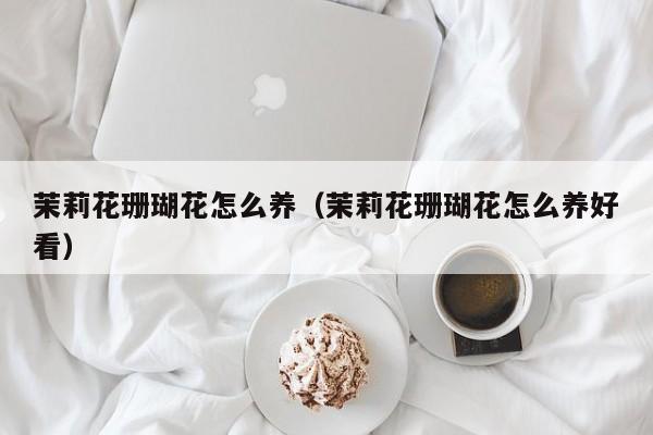 茉莉花珊瑚花怎么养（茉莉花珊瑚花怎么养好看）