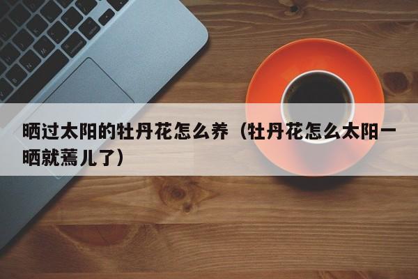晒过太阳的牡丹花怎么养（牡丹花怎么太阳一晒就蔫儿了）