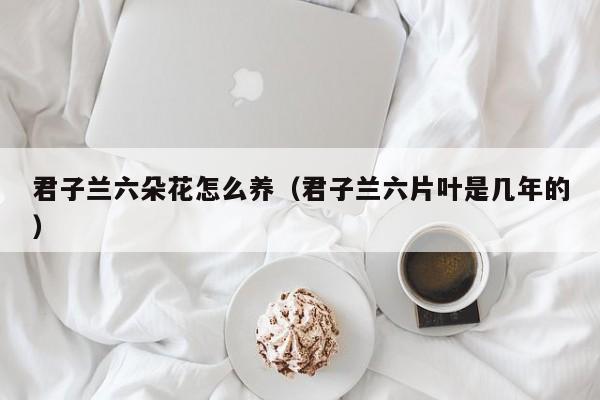 君子兰六朵花怎么养（君子兰六片叶是几年的）