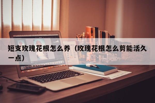短支玫瑰花根怎么养（玫瑰花根怎么剪能活久一点）