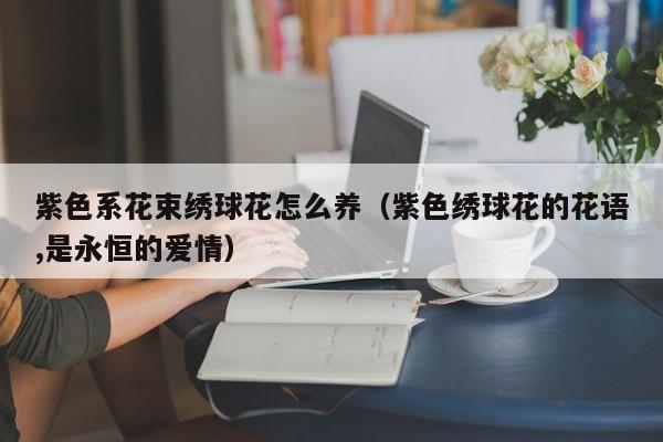紫色系花束绣球花怎么养（紫色绣球花的花语,是永恒的爱情）