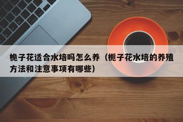 桅子花适合水培吗怎么养（栀子花水培的养殖方法和注意事项有哪些）