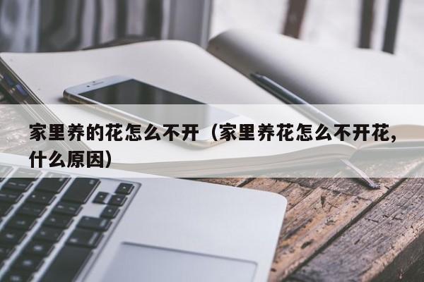 家里养的花怎么不开（家里养花怎么不开花,什么原因）