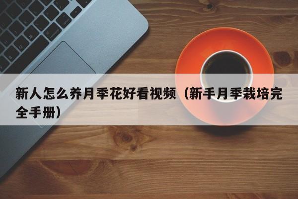 新人怎么养月季花好看视频（新手月季栽培完全手册）