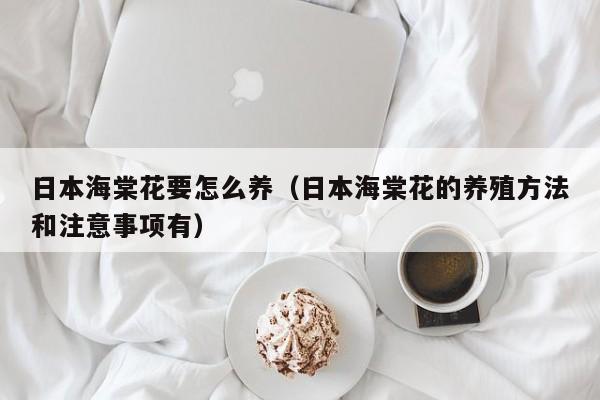 日本海棠花要怎么养（日本海棠花的养殖方法和注意事项有）
