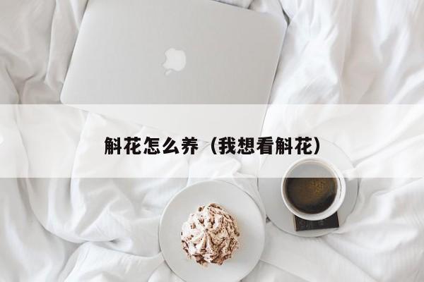 斛花怎么养（我想看斛花）