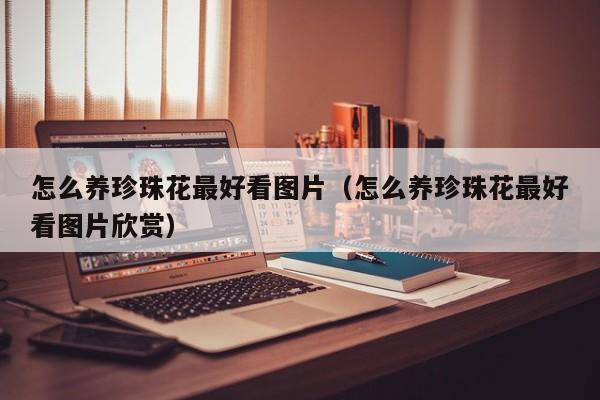 怎么养珍珠花最好看图片（怎么养珍珠花最好看图片欣赏）