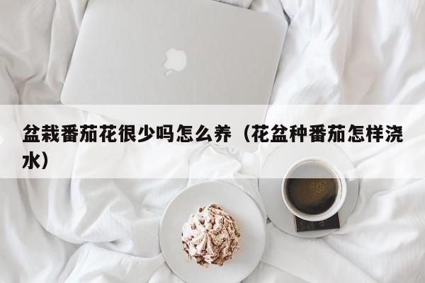 盆栽番茄花很少吗怎么养（花盆种番茄怎样浇水）