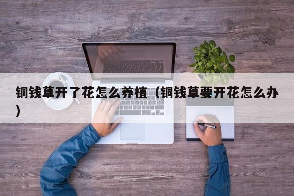 铜钱草开了花怎么养植（铜钱草要开花怎么办）