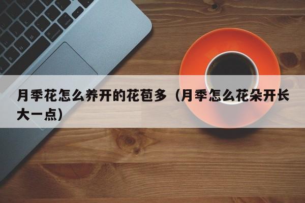 月季花怎么养开的花苞多（月季怎么花朵开长大一点）